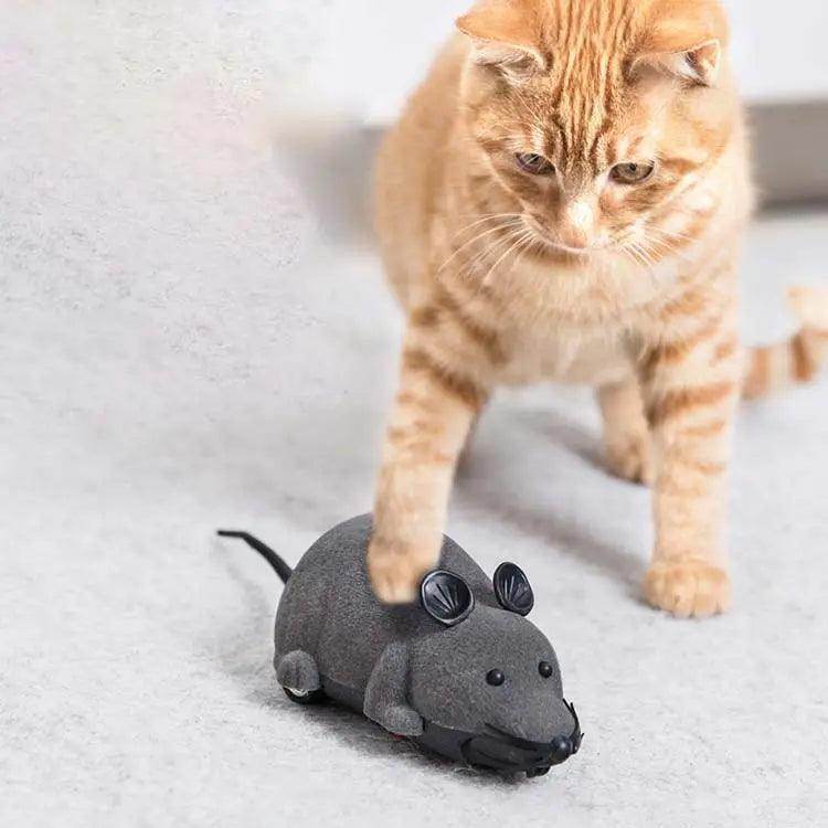 Remote Control Mouse Toy For Cats - Simply Petastic