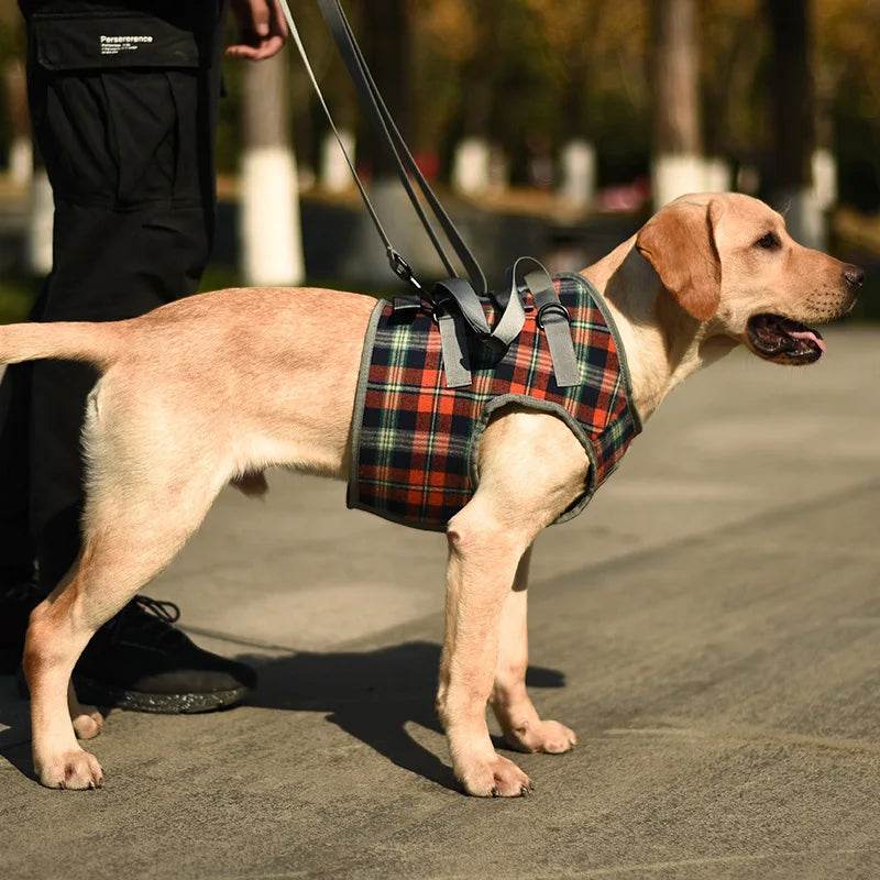 Adjustable Dog Support Harness for Front and Rear Legs Lifting Rehabilitation Vest for Old Dogs with Disabilities Pet Supplies - Simply Petastic