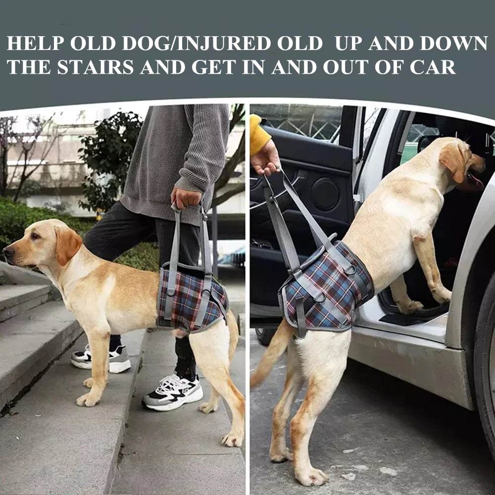 Adjustable Dog Support Harness for Front and Rear Legs Lifting Rehabilitation Vest for Old Dogs with Disabilities Pet Supplies - Simply Petastic