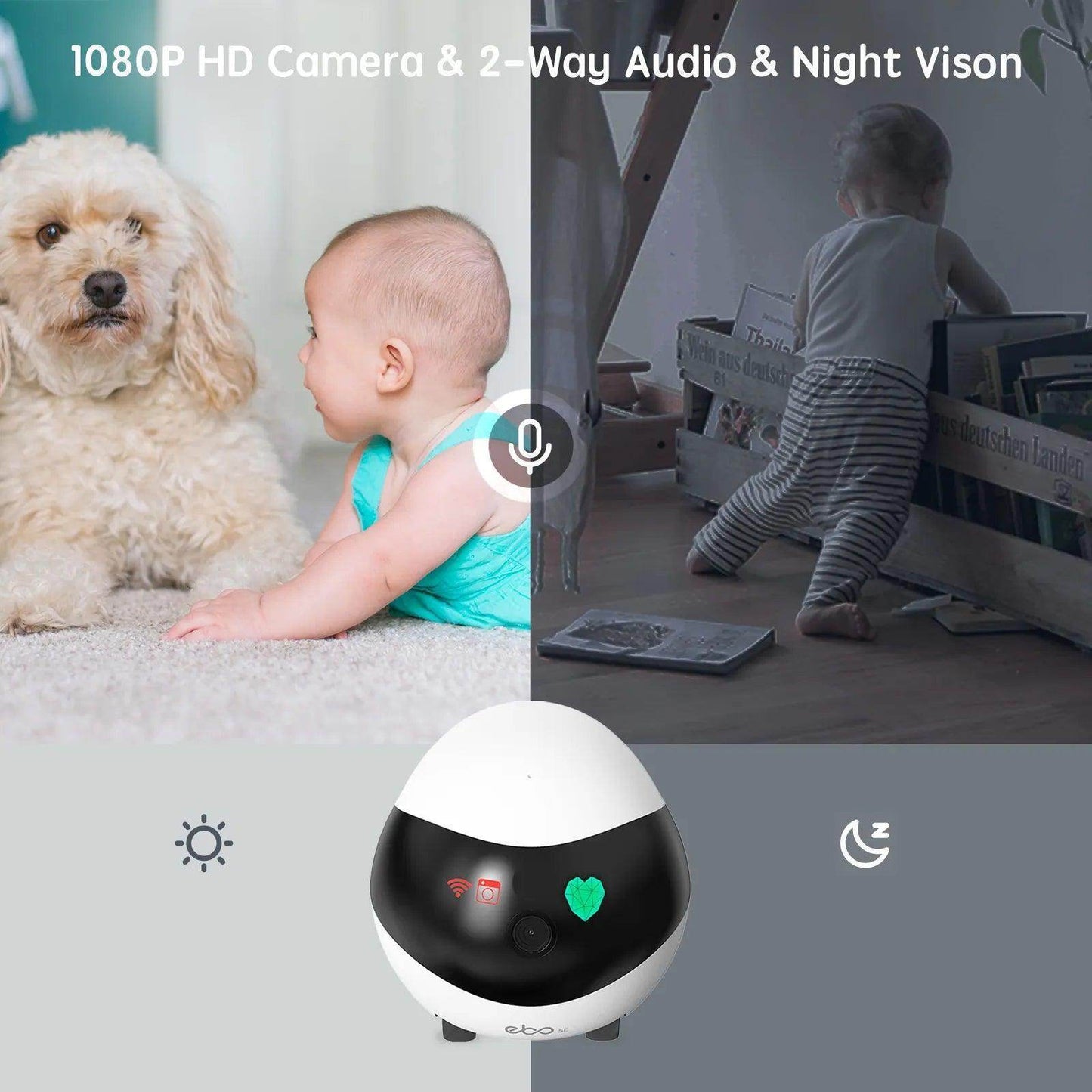 Pet Smart WiFi Camera - Simply Petastic