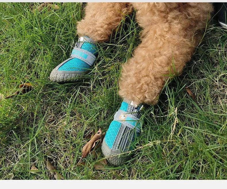 Premium Custom Dog Sneakers for Active Paws - Simply Petastic