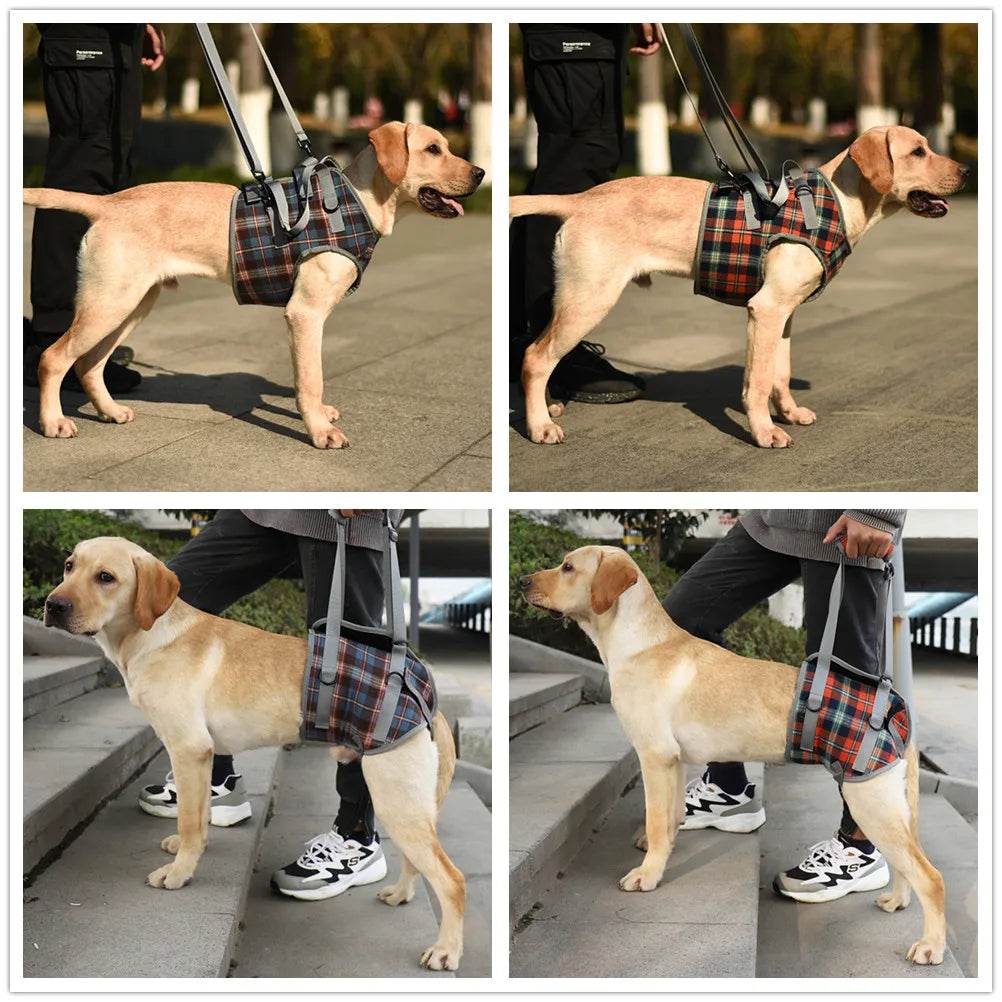 Adjustable Dog Support Harness for Front and Rear Legs Lifting Rehabilitation Vest for Old Dogs with Disabilities Pet Supplies - Simply Petastic