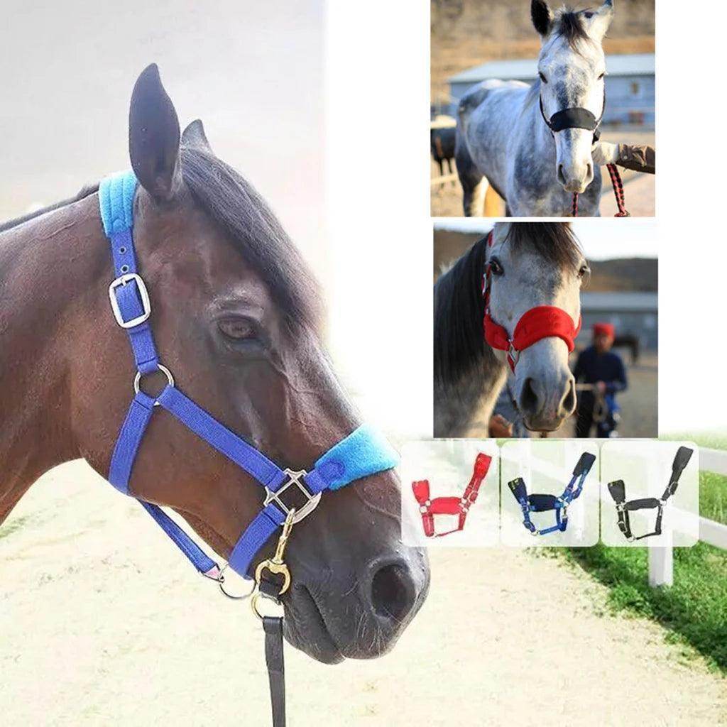 Soft Padded Pony Horse Halter Bridle - Simply Petastic
