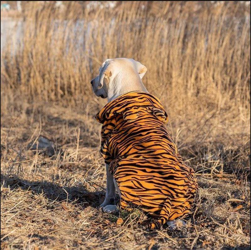 Big Dog Tiger OutFit - Simply Petastic