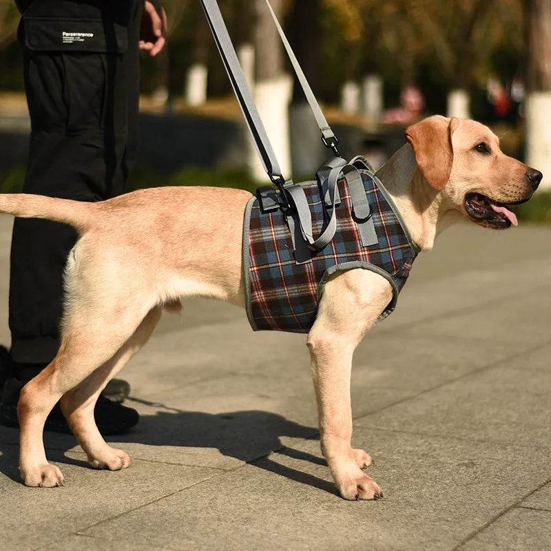 Adjustable Dog Support Harness for Front and Rear Legs Lifting Rehabilitation Vest for Old Dogs with Disabilities Pet Supplies - Simply Petastic