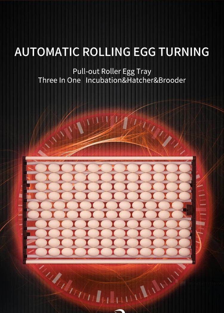 Fully Automatic Chicken Egg Incubator Hatchery Machine 1000 Eggs Incubator - Simply Petastic
