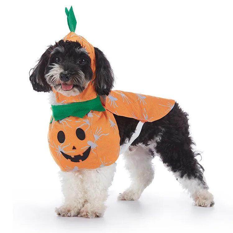 Halloween Costumes for Small Dogs - Simply Petastic
