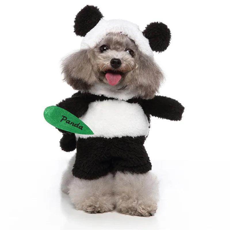 Halloween Costumes for Small Dogs - Simply Petastic