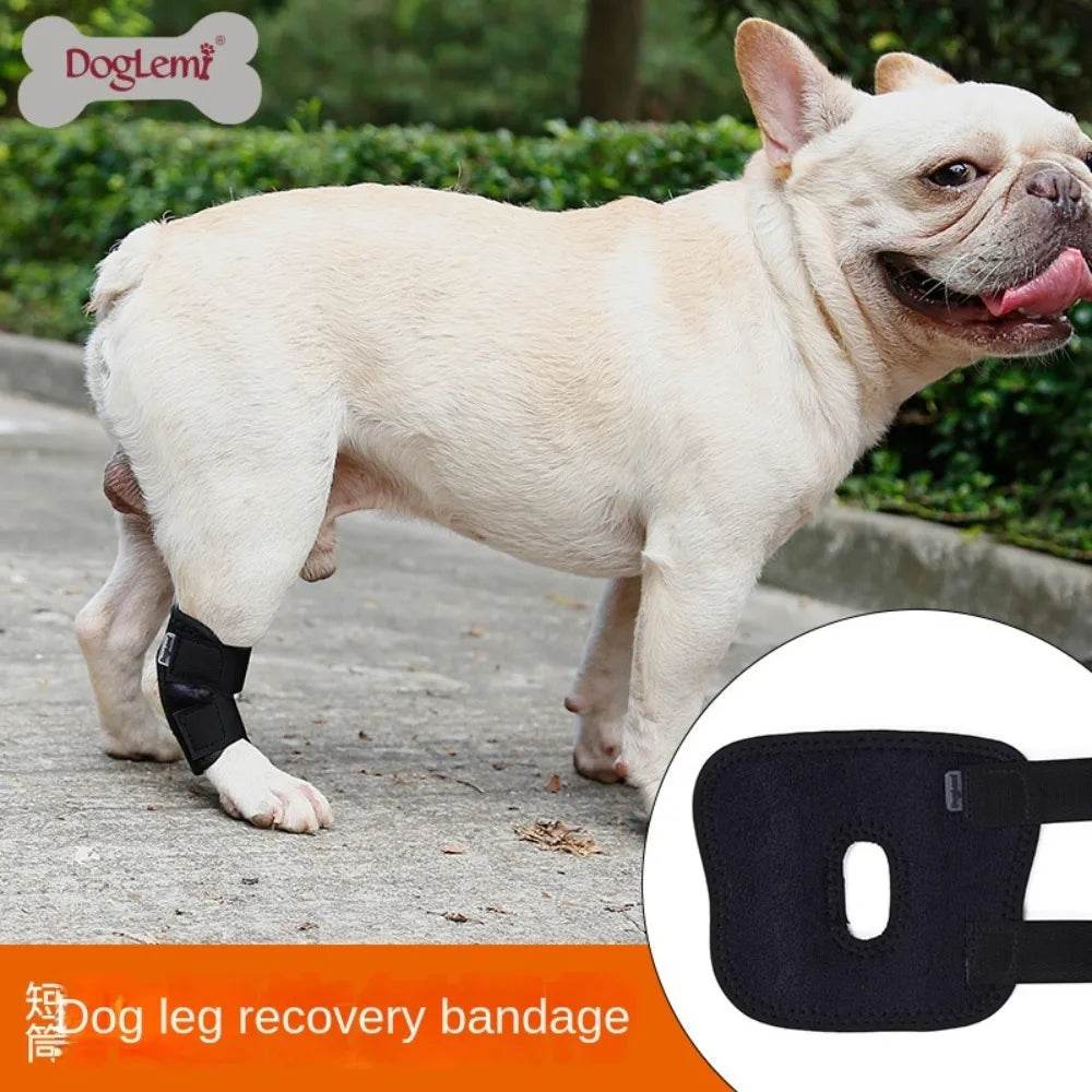 Essential Dog Brace for Hock Joint Stability - Simply Petastic