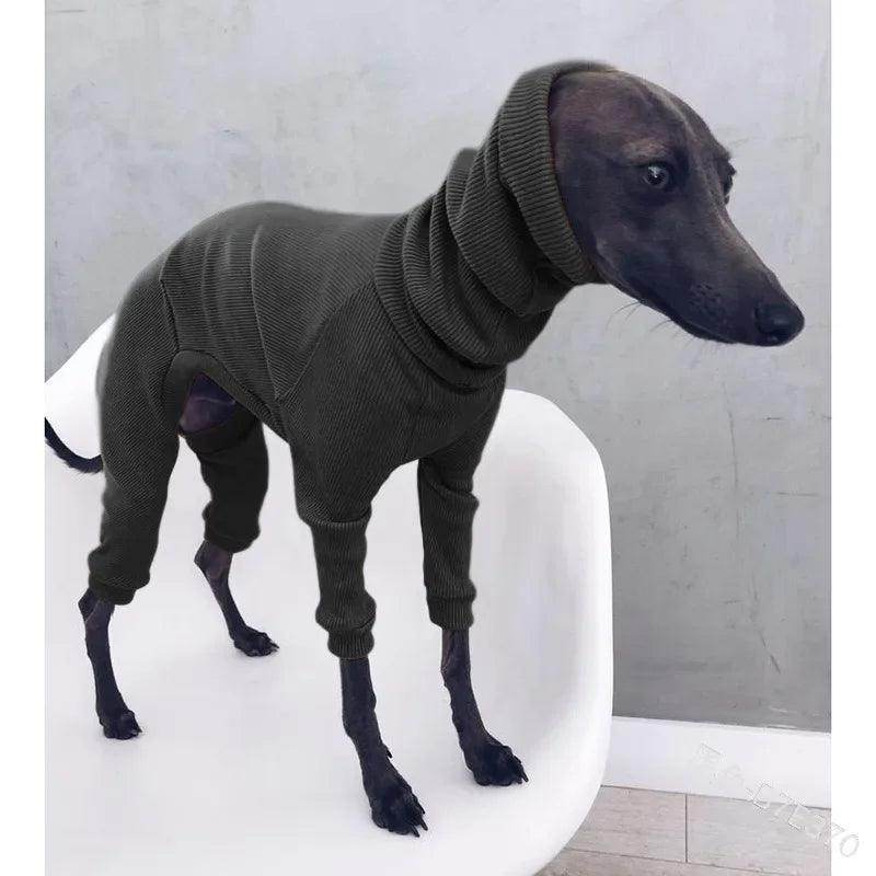 Big Dog Turtle Neck - Simply Petastic