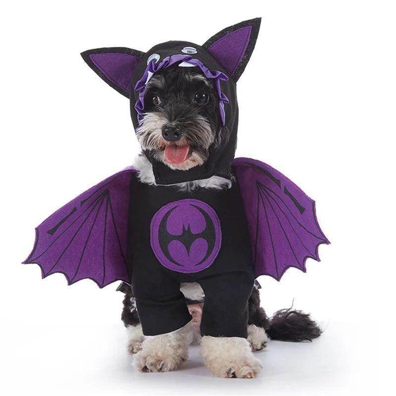 Halloween Costumes for Small Dogs - Simply Petastic