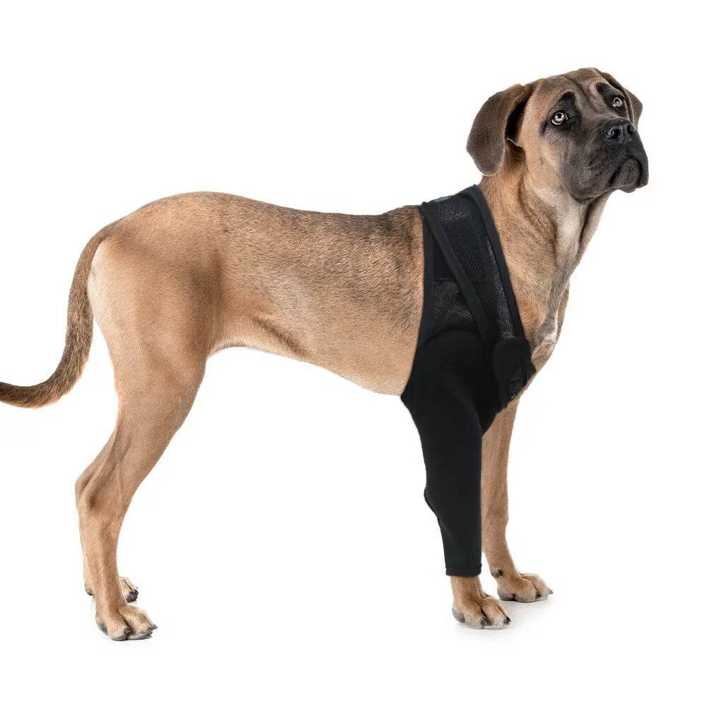 Pet Dog Knee Brace for Joint Pain Relief - Simply Petastic