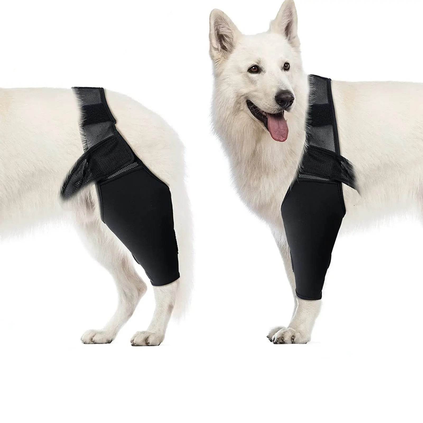 Pet Dog Knee Brace for Joint Pain Relief - Simply Petastic