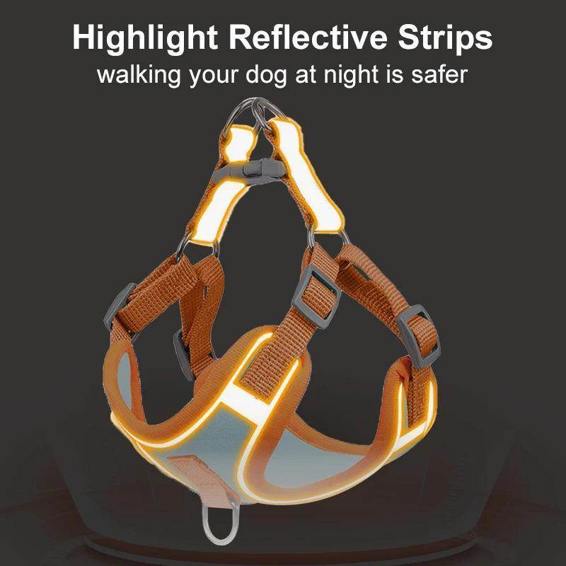 Adjustable Breathable Pet Harness And Leash Set - Simply Petastic
