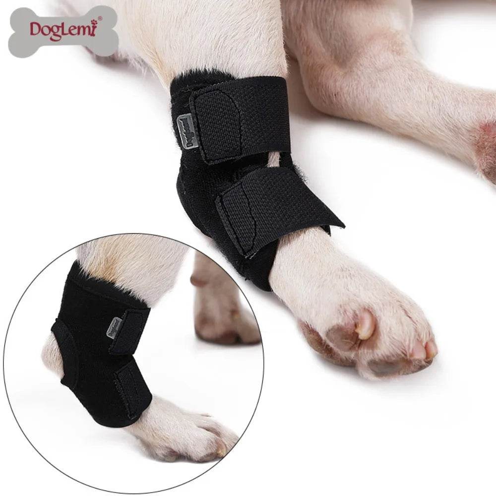 Essential Dog Brace for Hock Joint Stability - Simply Petastic
