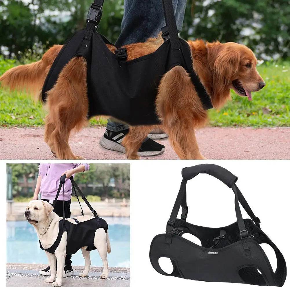 Supportive Sling for Elderly Dogs: Mobility Made Easy - Simply Petastic