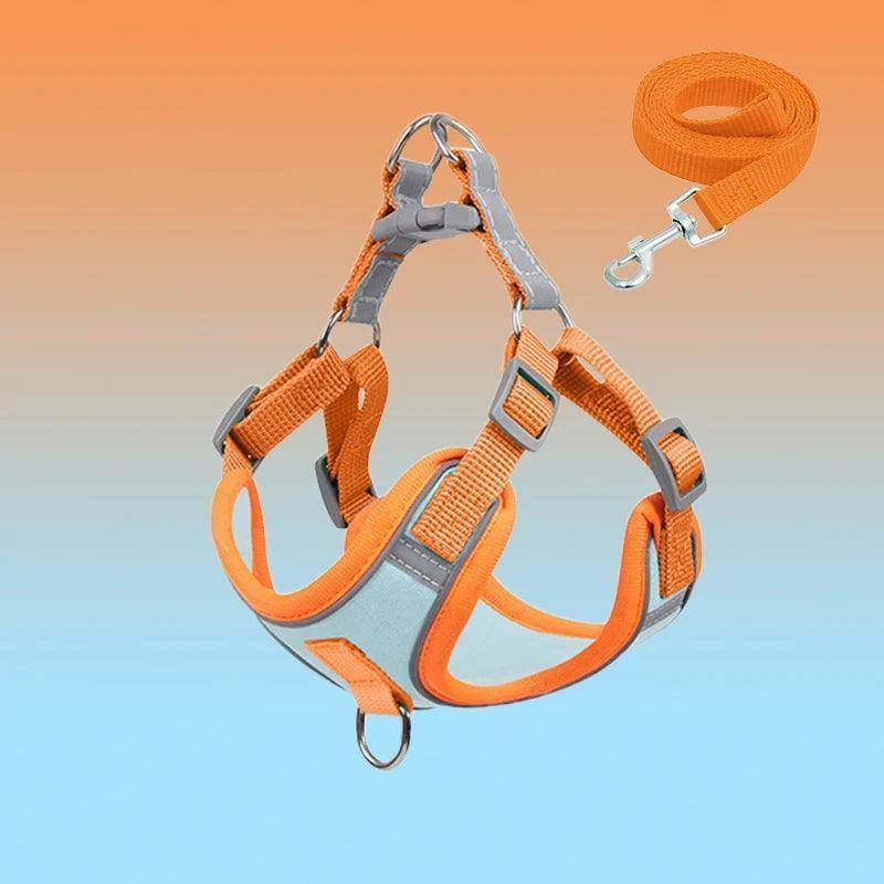 Adjustable Breathable Pet Harness And Leash Set - Simply Petastic