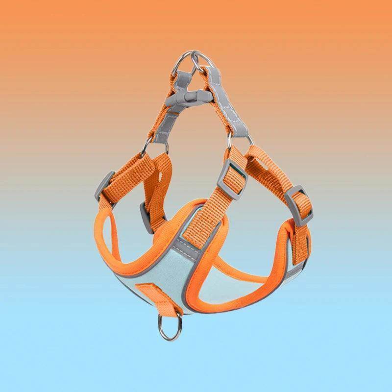 Adjustable Breathable Pet Harness And Leash Set - Simply Petastic