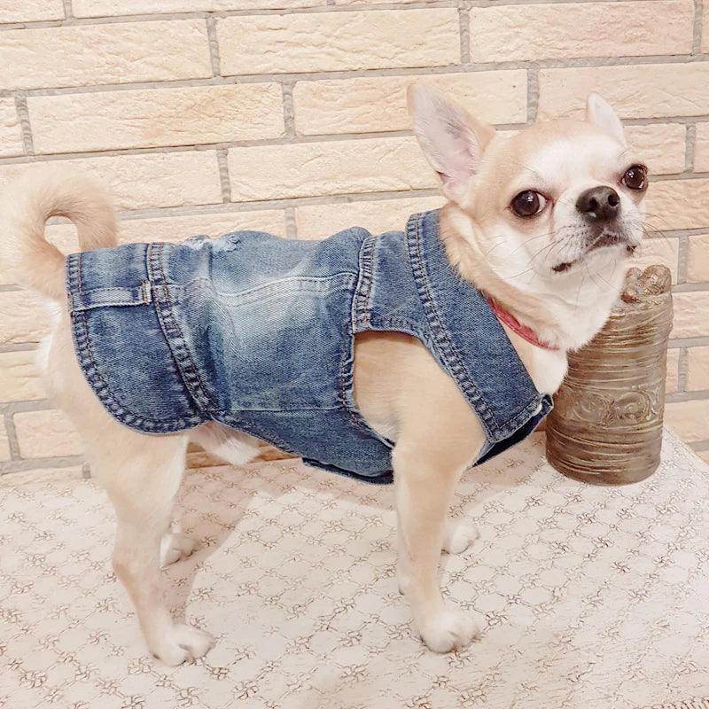 Cute denim dog jacket - Simply Petastic