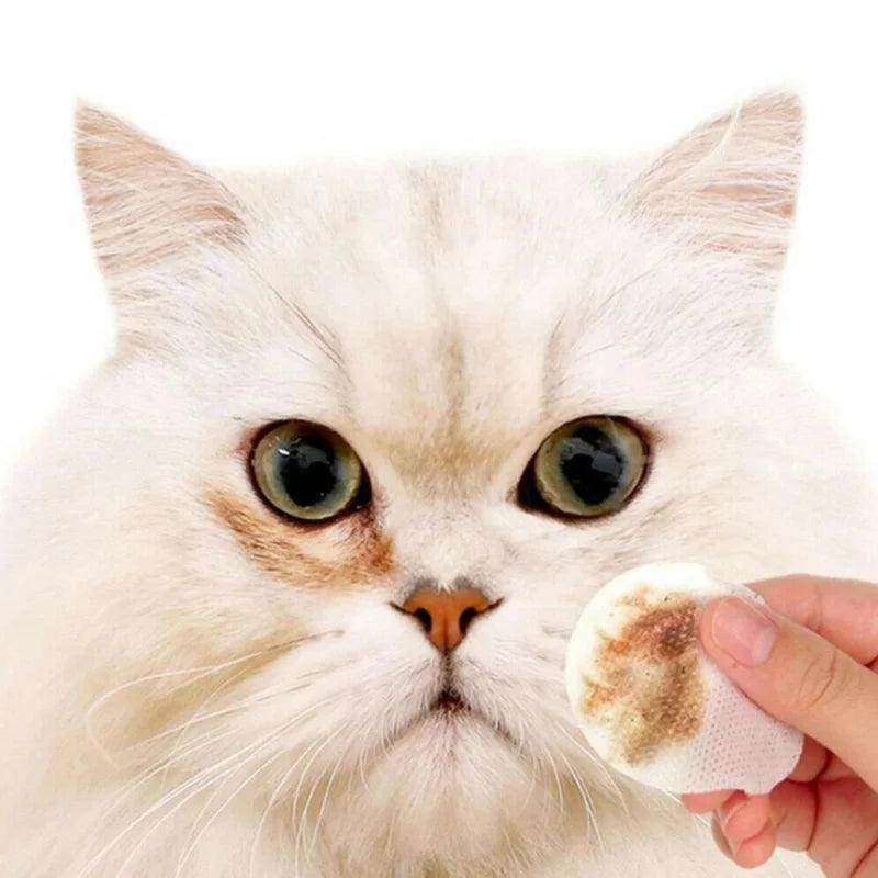 Pet Clean Eyes Remove Eye Dirt Dog Cat Universal Wet Paper Wipe - Simply Petastic