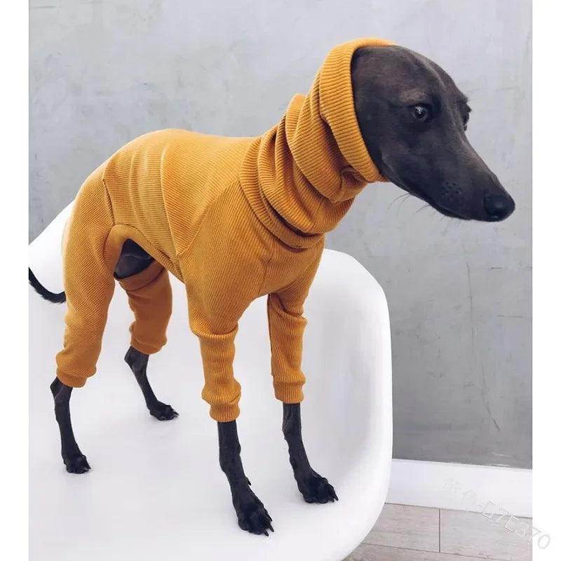 Big Dog Turtle Neck - Simply Petastic