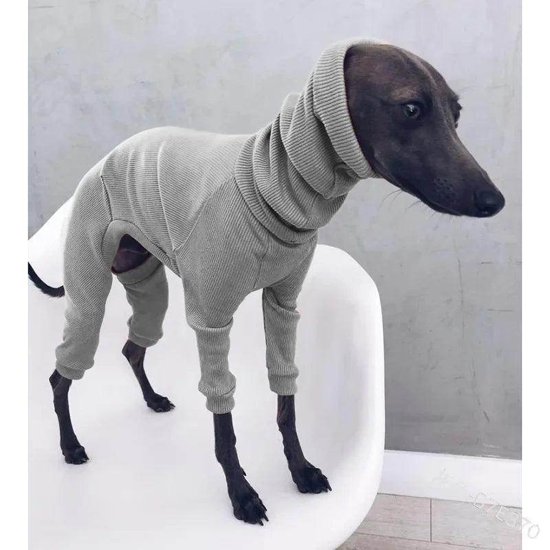 Big Dog Turtle Neck - Simply Petastic