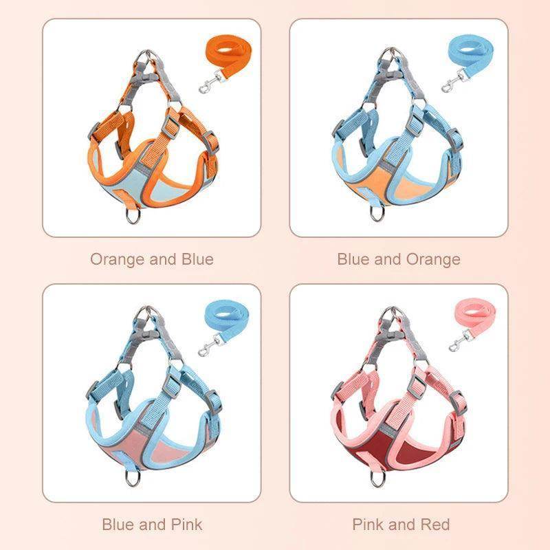 Adjustable Breathable Pet Harness And Leash Set - Simply Petastic