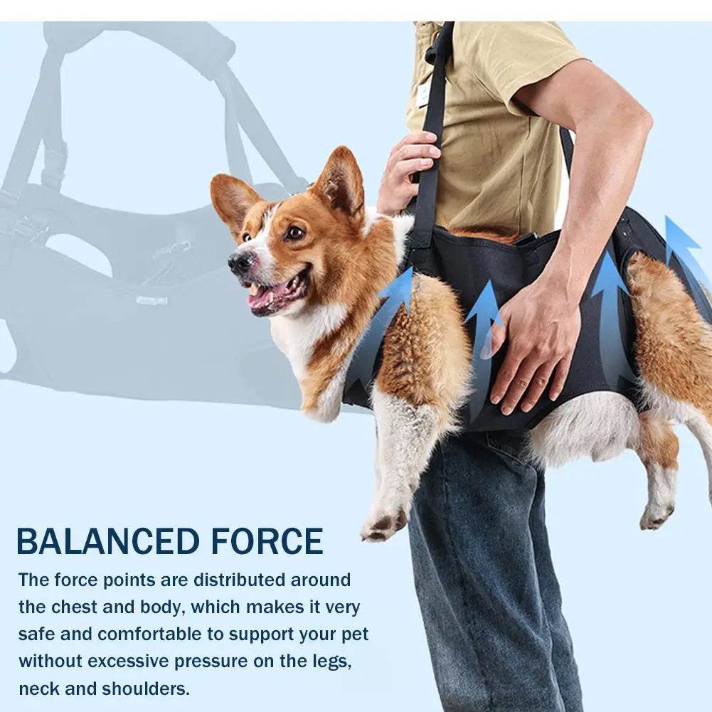 Supportive Sling for Elderly Dogs: Mobility Made Easy - Simply Petastic