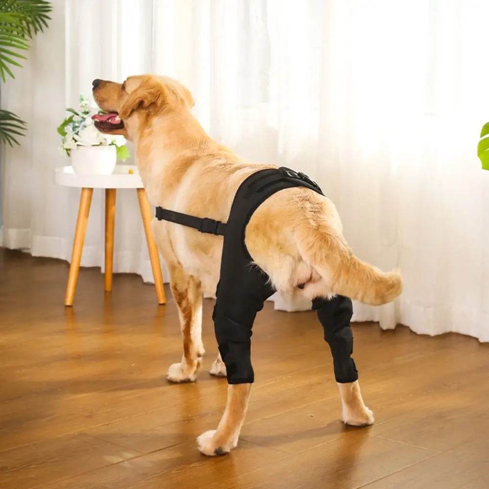 Canine Knee and Hip Joint Support Brace - Simply Petastic