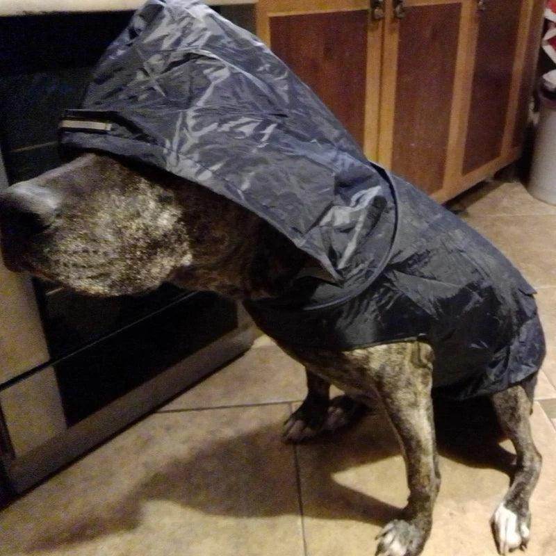 Dog Waterproof Rain Poncho - Simply Petastic
