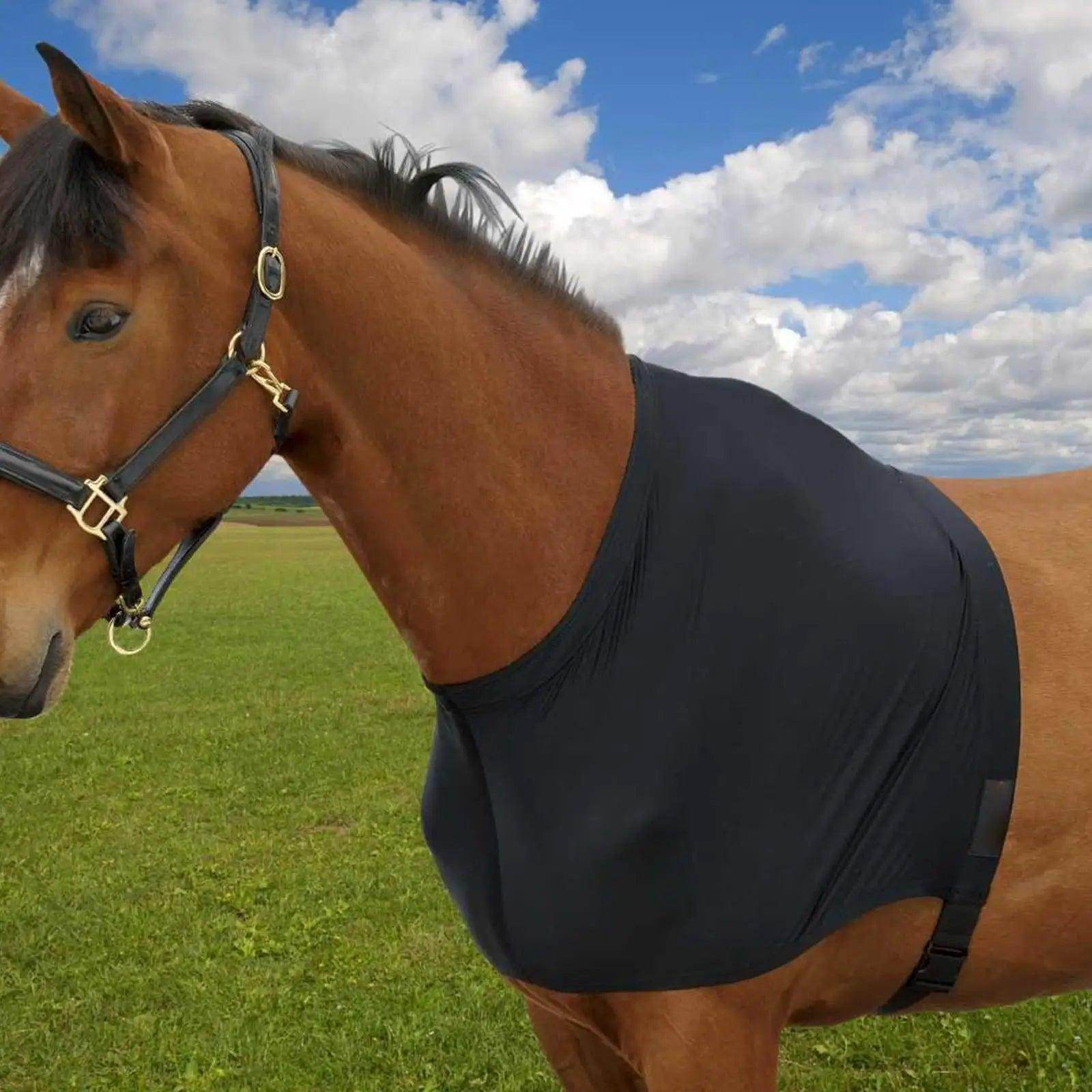 Horse Shoulder Guard - Simply Petastic