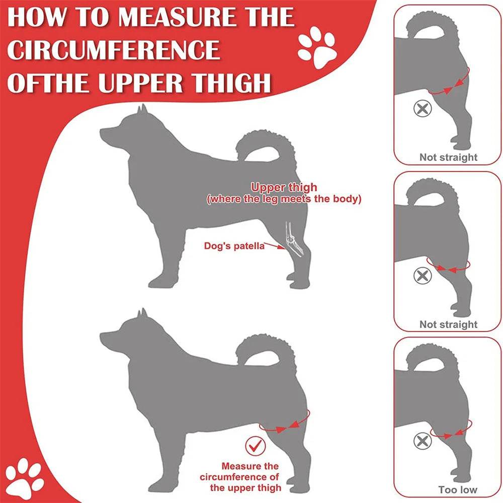 Pet Dog Knee Brace for Joint Pain Relief - Simply Petastic