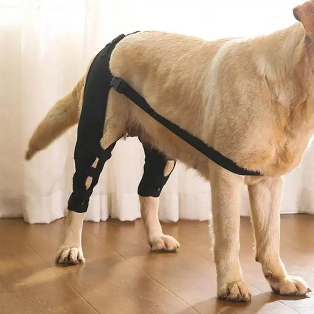Canine Knee and Hip Joint Support Brace - Simply Petastic