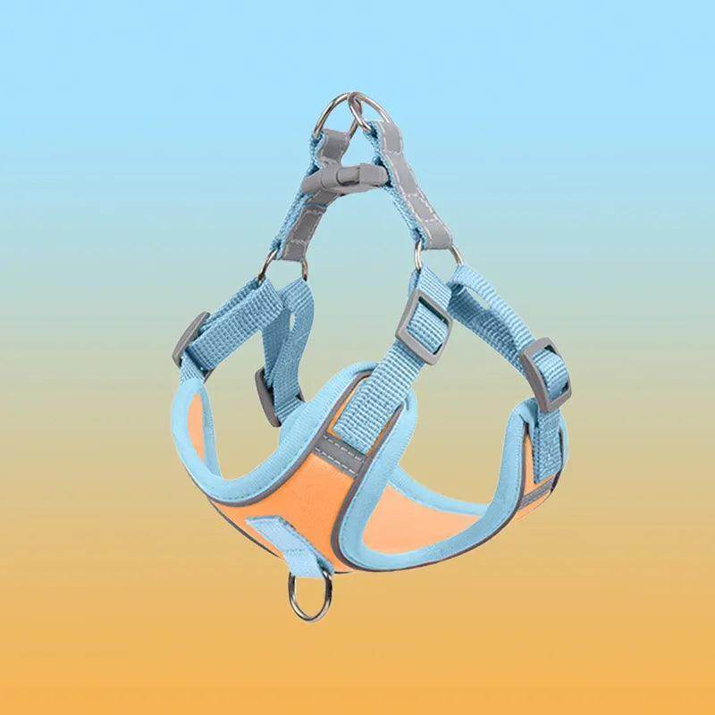 Adjustable Breathable Pet Harness And Leash Set - Simply Petastic