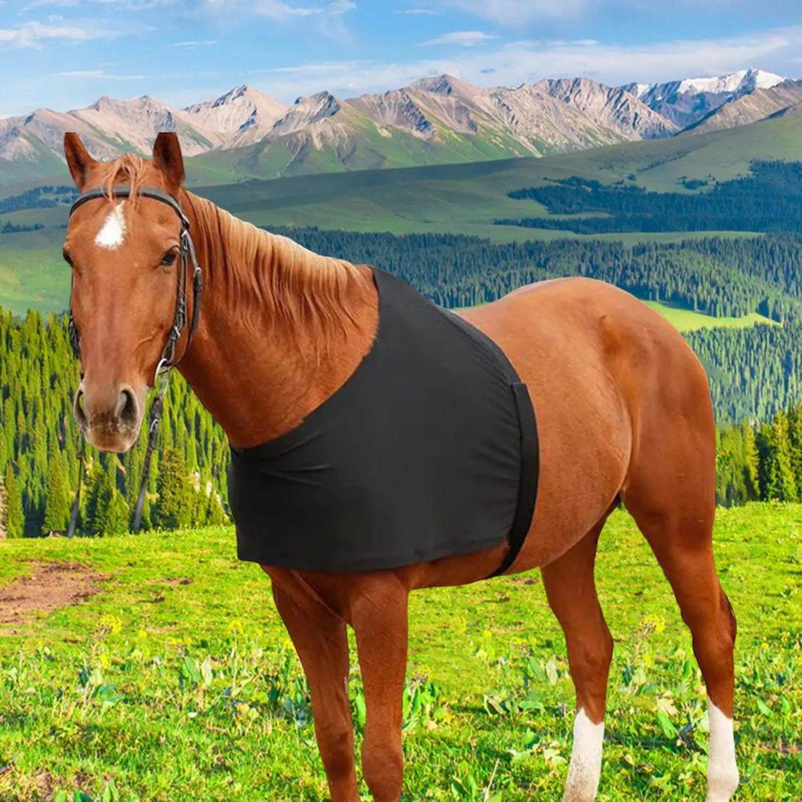 Horse Shoulder Guard - Simply Petastic