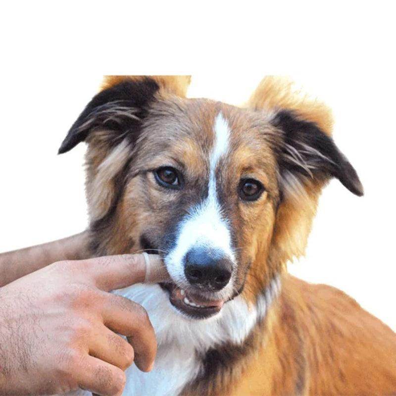 Dog Super Soft Pet Finger Toothbrush - Simply Petastic