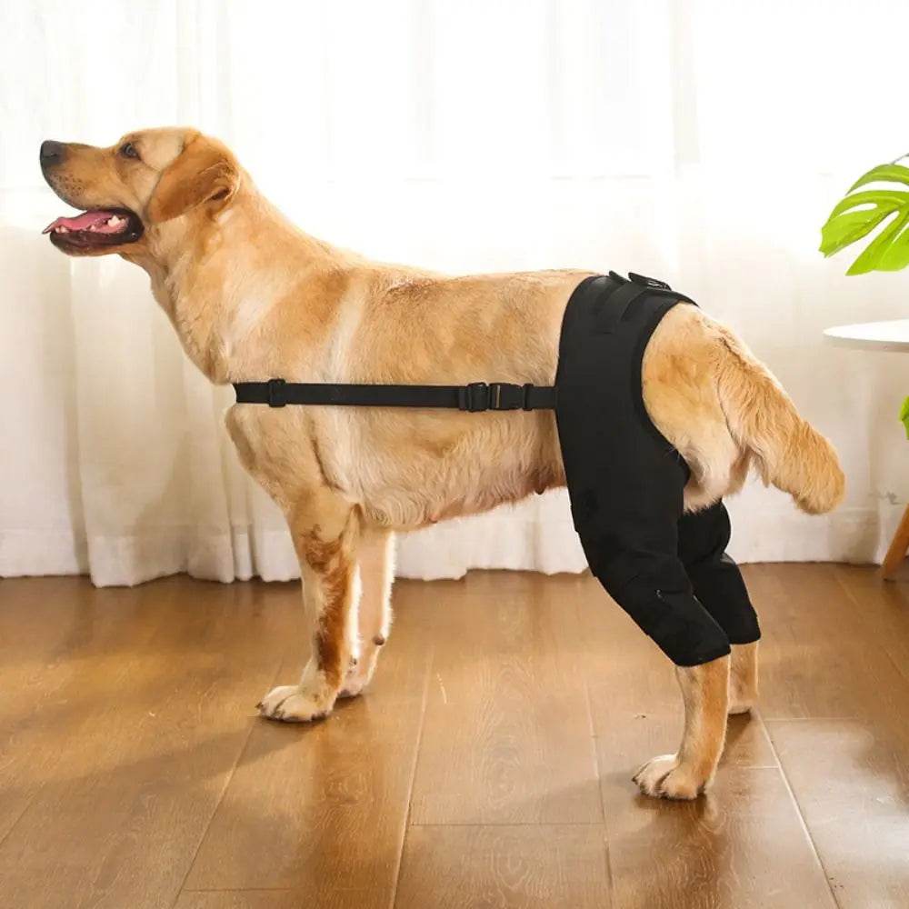 Canine Knee and Hip Joint Support Brace - Simply Petastic