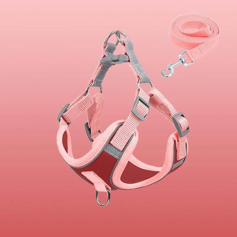Adjustable Breathable Pet Harness And Leash Set - Simply Petastic