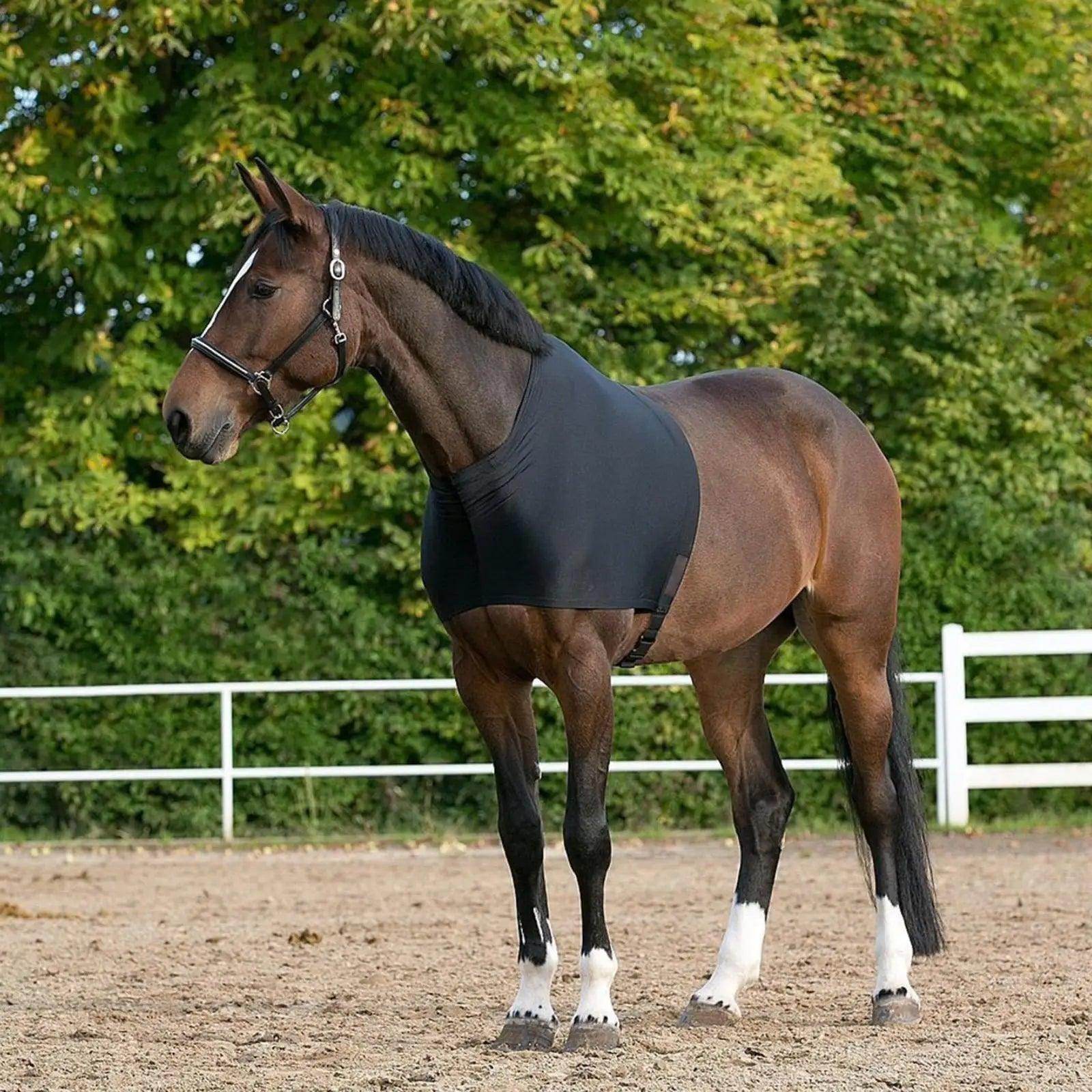 Horse Shoulder Guard - Simply Petastic