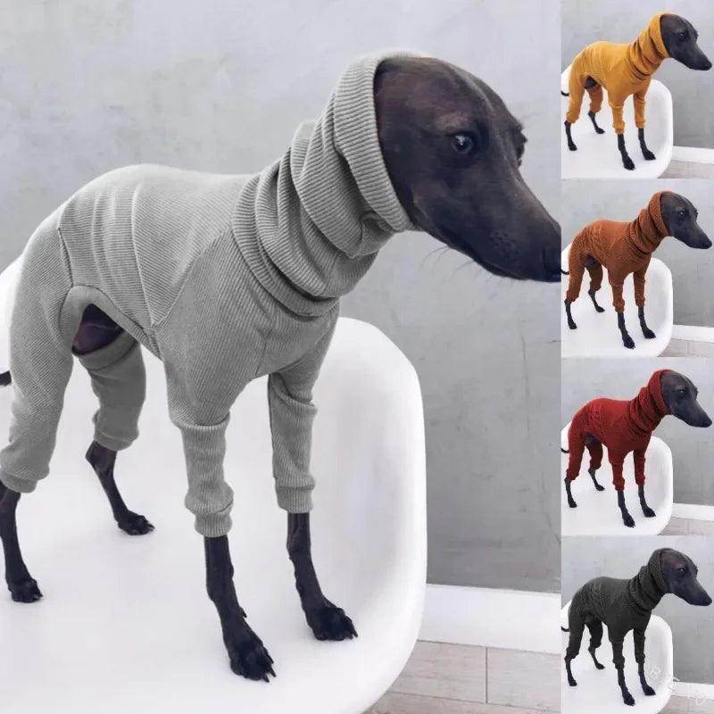 Big Dog Turtle Neck - Simply Petastic