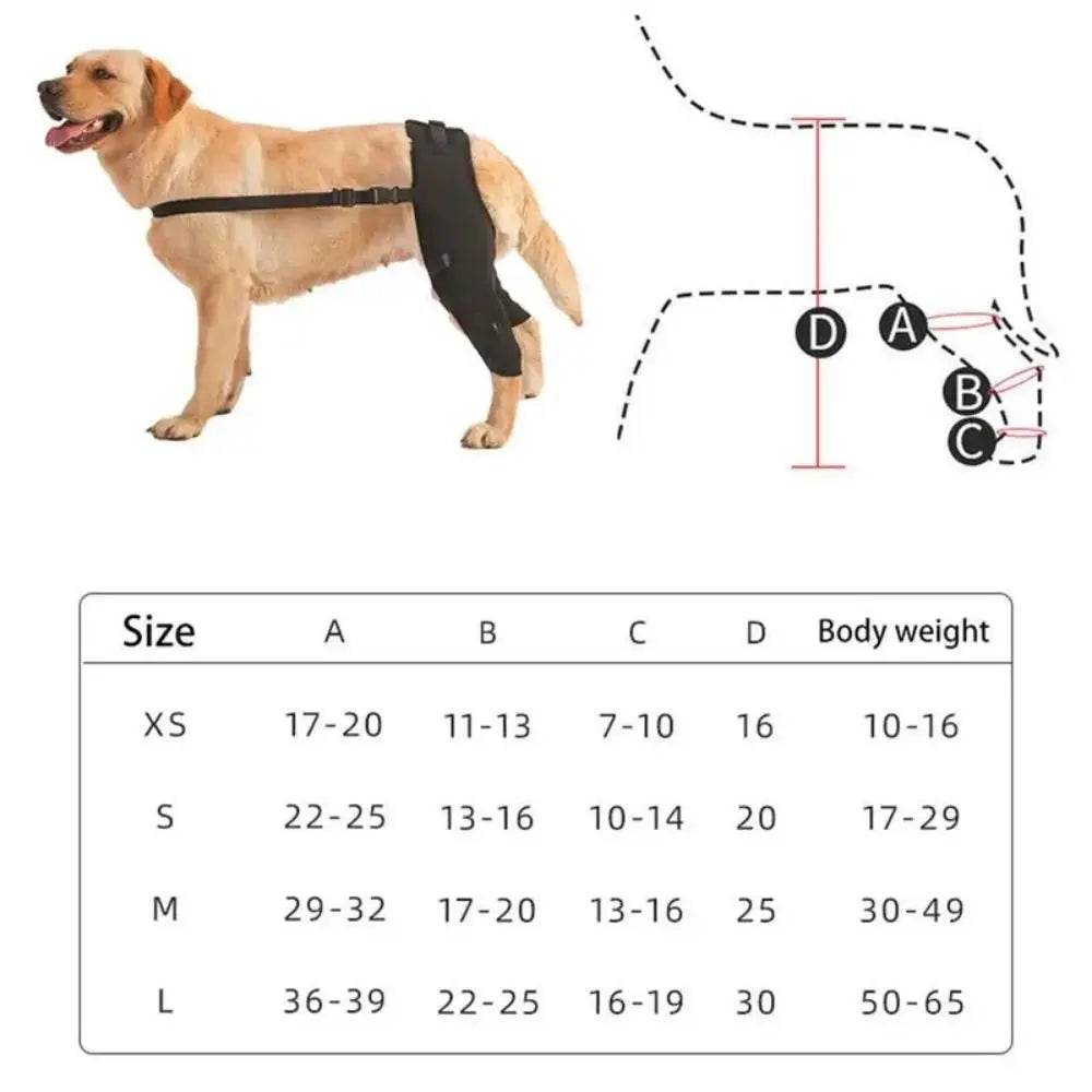 Canine Knee and Hip Joint Support Brace - Simply Petastic