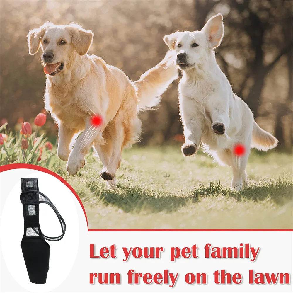 Pet Dog Knee Brace for Joint Pain Relief - Simply Petastic