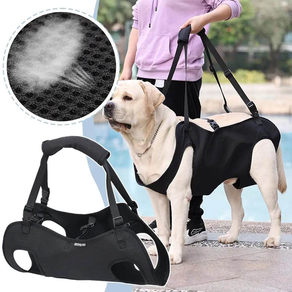 Supportive Sling for Elderly Dogs: Mobility Made Easy - Simply Petastic
