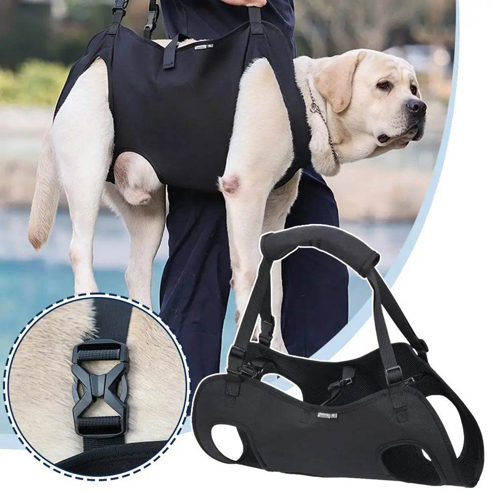 Supportive Sling for Elderly Dogs: Mobility Made Easy - Simply Petastic