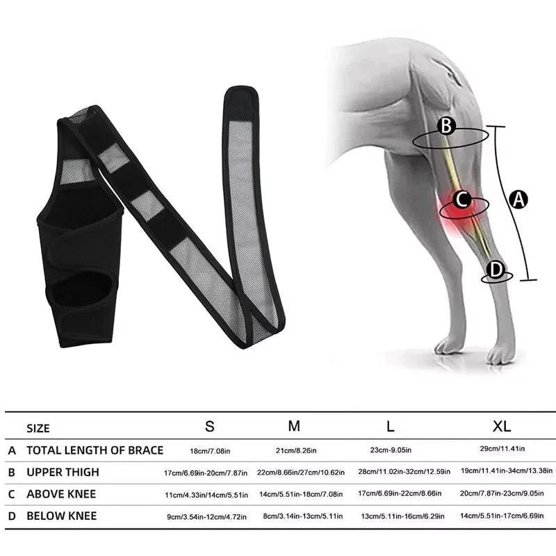 Pet Dog Knee Brace for Joint Pain Relief - Simply Petastic
