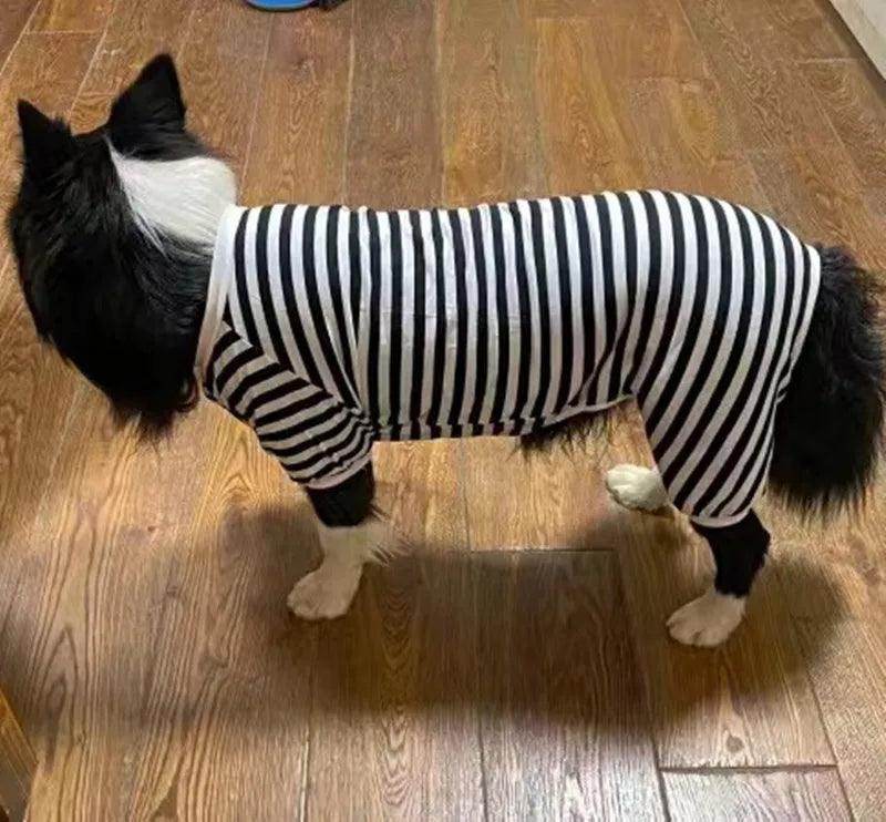 Big Dog Jumpsuit - Simply Petastic
