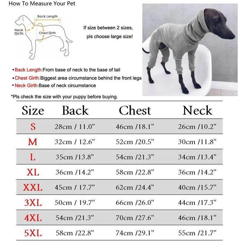 Big Dog Turtle Neck - Simply Petastic