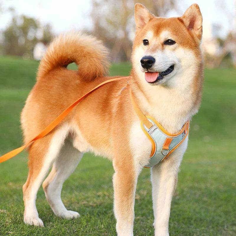 Adjustable Breathable Pet Harness And Leash Set - Simply Petastic