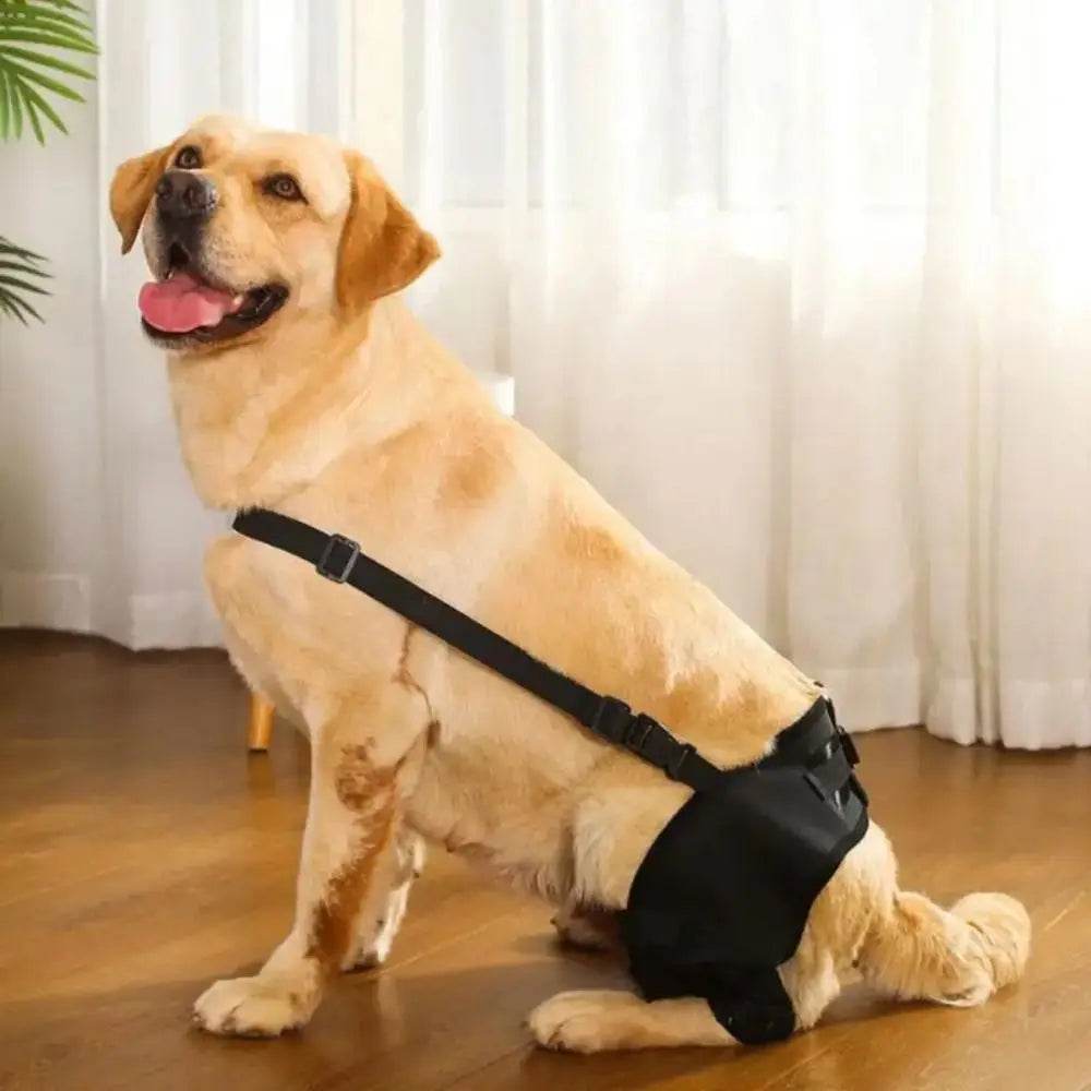 Canine Knee and Hip Joint Support Brace - Simply Petastic