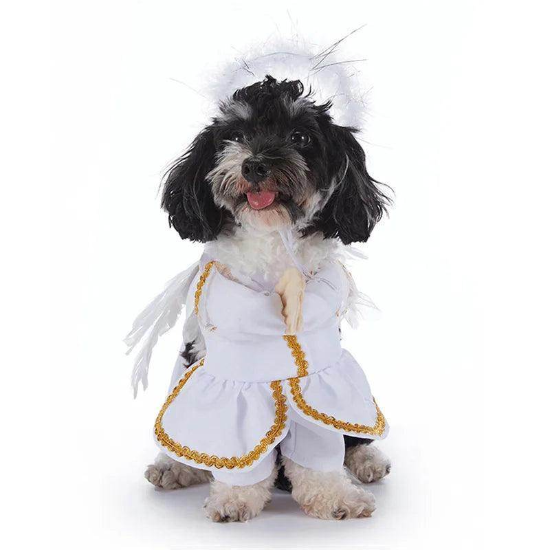 Halloween Costumes for Small Dogs - Simply Petastic